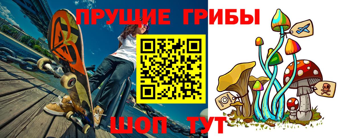 Псилоцибиновые грибы прущие грибы  Вход с VPN  Сердобск 